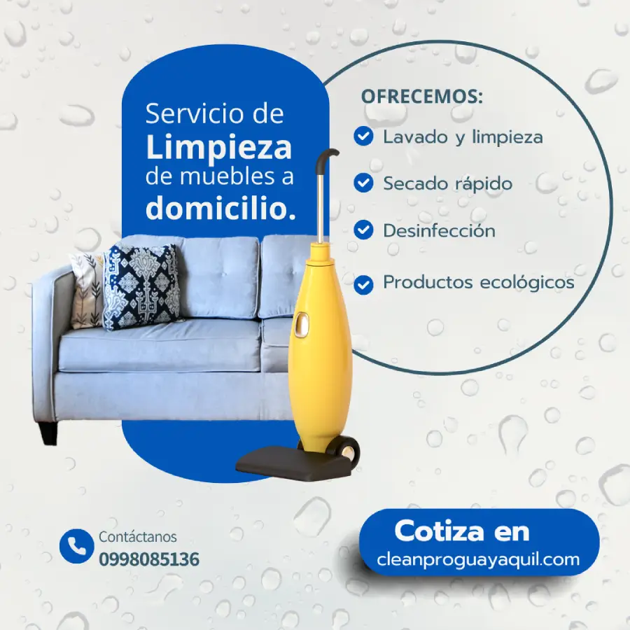 limpieza muebles profesional